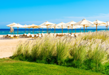 SUNNY DAYS EL PALACIO RESORT & SPA 4 * - Hurgada - Hurgada, Egiptas